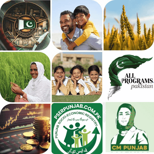 What Questions Will Be Asked in the Ghar Ghar Survey