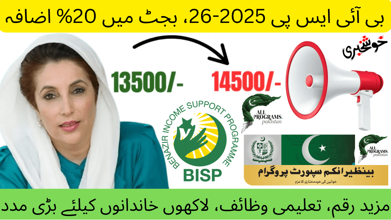 BISP Budget 2025-26 Increased Now Rs 14,500 Quarterly