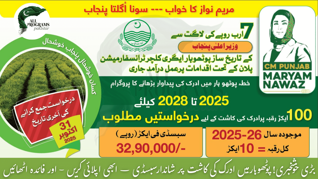CM Maryam Ginger Cultivation Program 2025 for Potohar Farmers