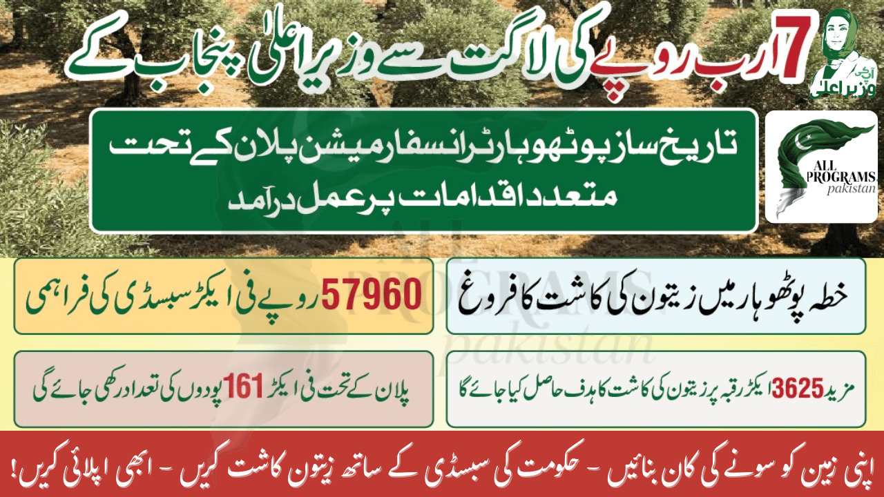 Potohar Farmers! Apply Now for Olive Cultivation Subsidy 2025