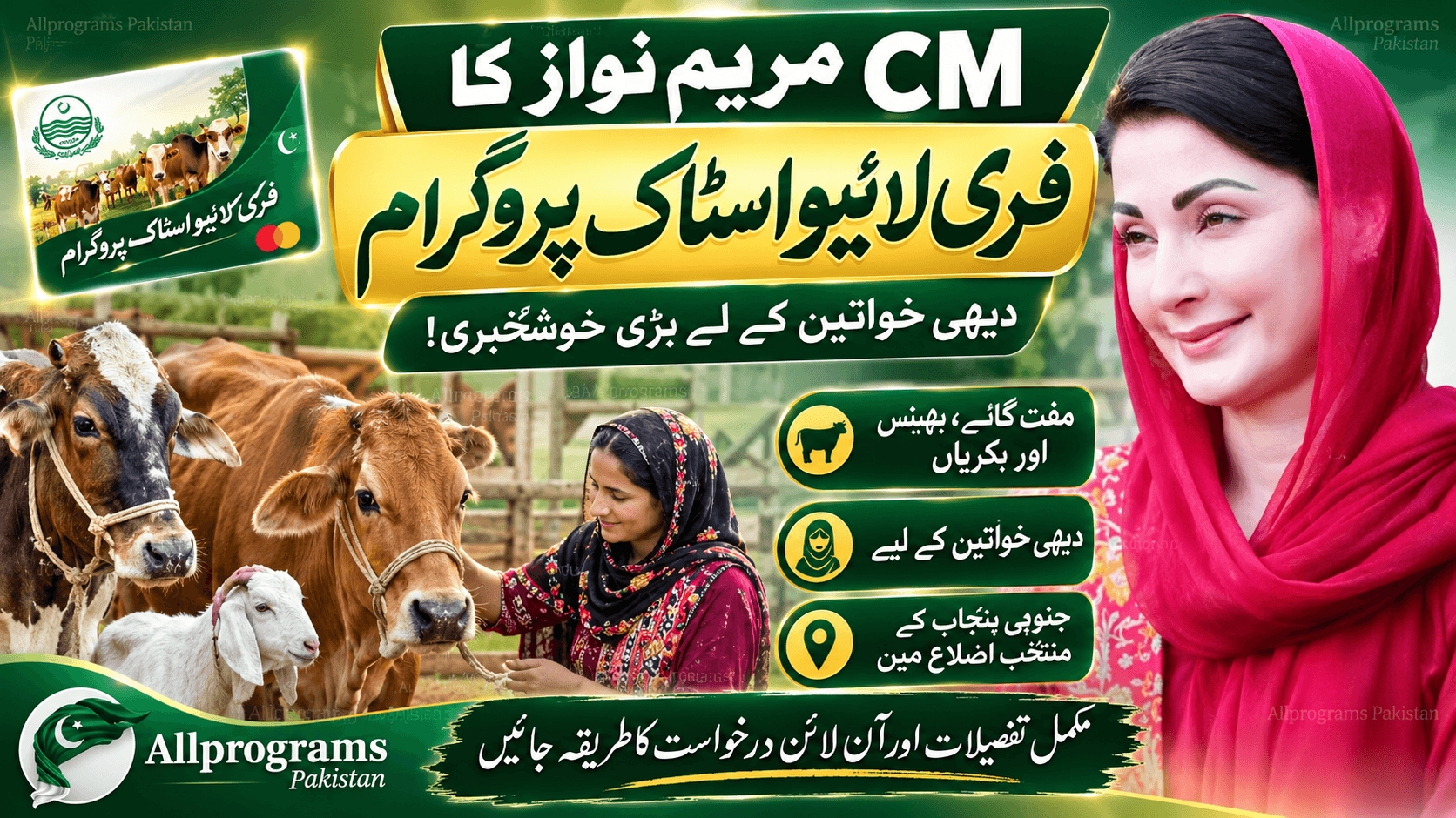 CM Punjab Free Livestock Scheme for Women 2026 — Apply Now